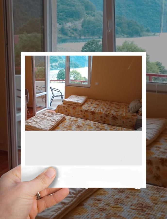 פלוזינה Studio Apartman D&S מראה חיצוני תמונה