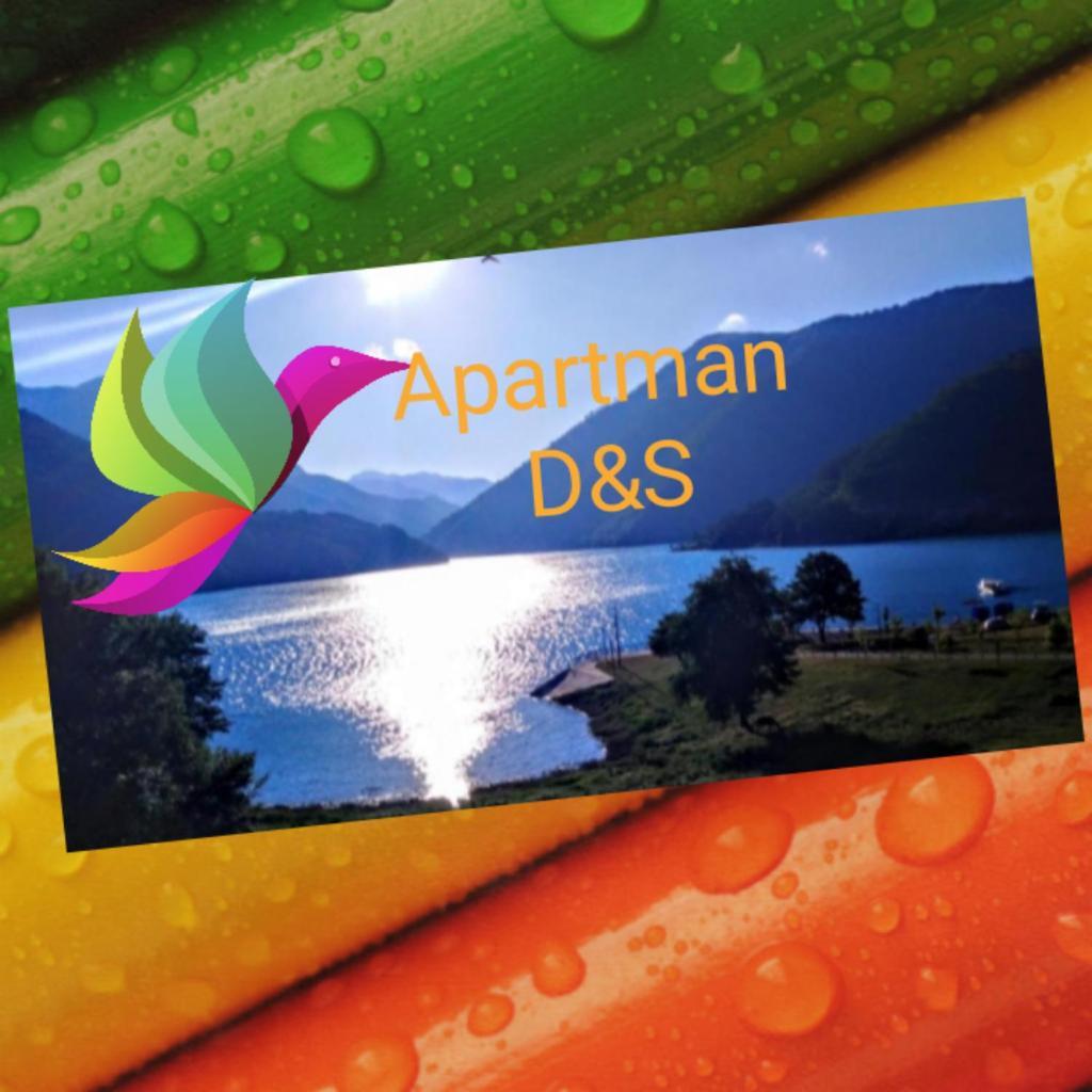 פלוזינה Studio Apartman D&S מראה חיצוני תמונה